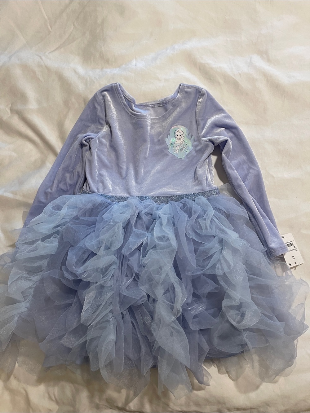 Frozen Velour and Tulle Girls Long Sleeve Dress 4T